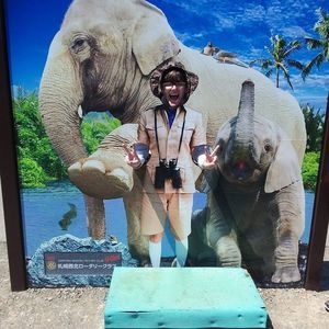 Meet your Posher, Allison